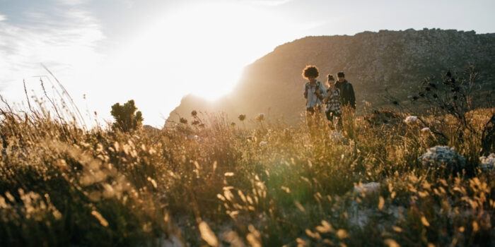 Hiking through the journey