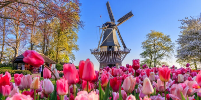 Dutch Speakers Accent English Pronunciation