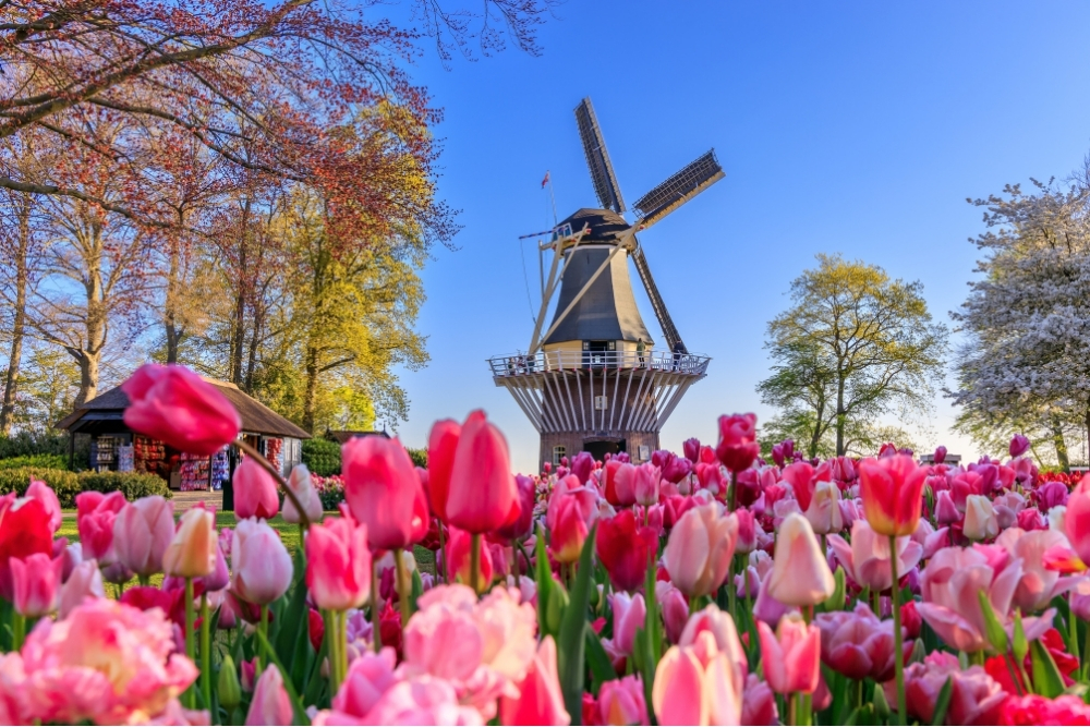 Dutch Speakers Accent English Pronunciation